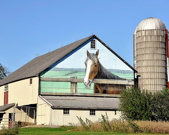 Stallion Barn