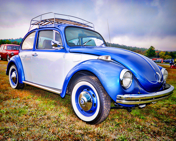 Blue 'n' White Bug