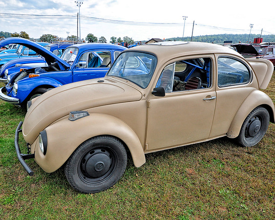 Bug in Tan