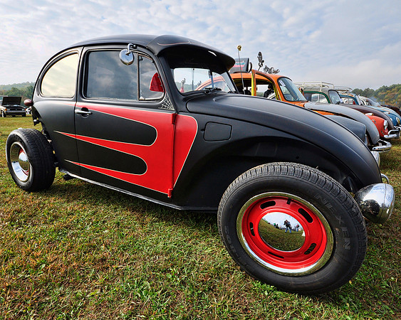 Beetle Parade