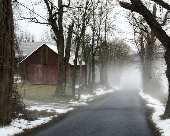 Farm Road Fog