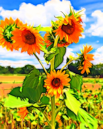 Sunflower Tree
