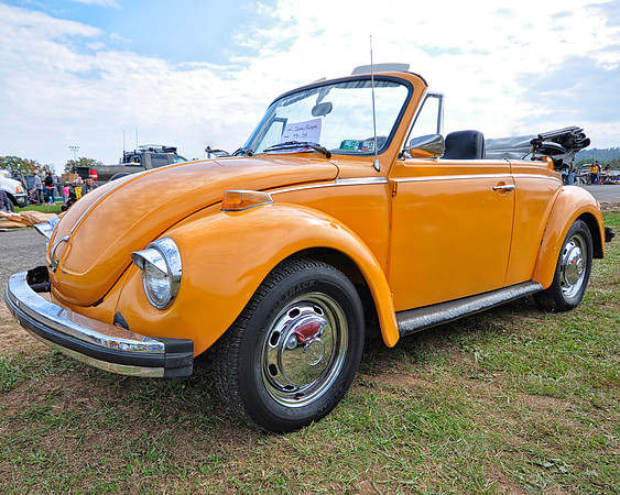Yellow Orange Beetle