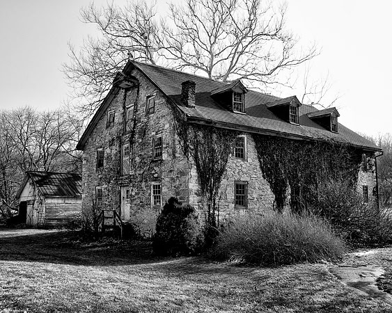 Vine Covered and Forgotten
