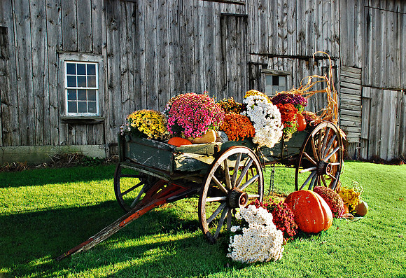 The Fall Wagon