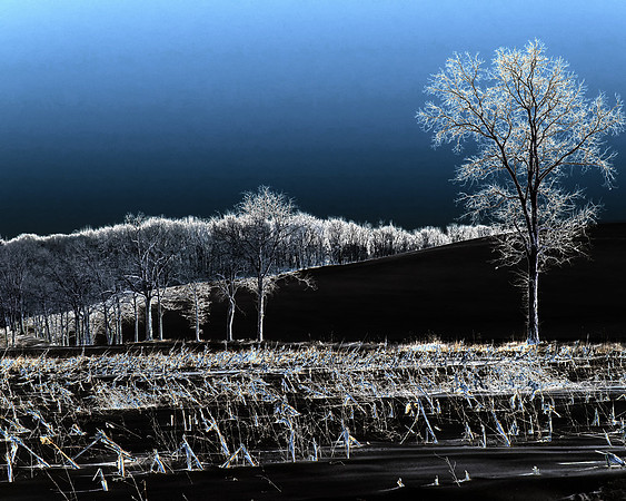 Cold Blue